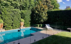 Bay Laurel (Sweet Bay) - Laurus Nobilis - 3 Gallon Pot -Wilson Bros Gardens Bay Laurel 7 1