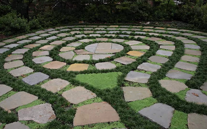 Kyoto Super Dwarf Mondo Grass - 3 Pack Of Pint Pots 5 Kyoto Super Dwarf Mondo Grass - 3 Pack Of Pint Pots - Image 5