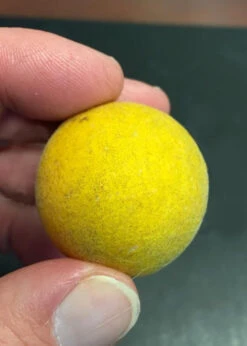 Flying Dragon Hardy Orange (Single Trunk Tree Form) - 7 Gallon Pot (6-7') 14 Flying Dragon Hardy Orange (Single Trunk Tree Form) - 7 Gallon Pot (6-7') -Wilson Bros Gardens Orange Flying Dragon 6 2