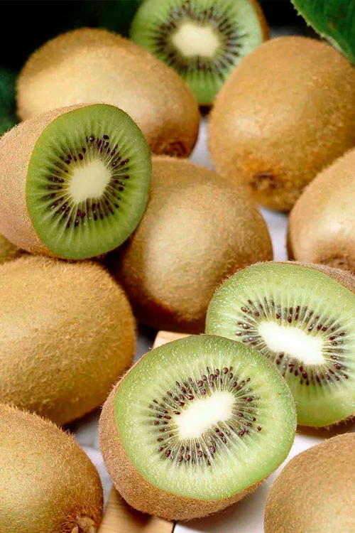 Jenny Fuzzy Kiwi Vine (Self Fertile) - 1 Gallon Pot 1 Jenny Fuzzy Kiwi Vine (Self Fertile) - 1 Gallon Pot