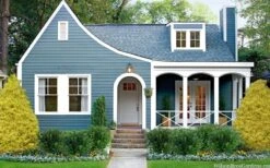 Gold Mop Threadleaf Cypress - 6 Pack Of 1 Gallon Pots -Wilson Bros Gardens chamaecyparis pisifera gold mop cypress 105 1