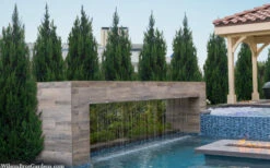 Spartan Juniper - 2 Gallon Pot -Wilson Bros Gardens juniperus chinensis spartan columnar juniper 40 1