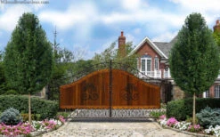 Everclear Lacebark Elm Tree - 7 Gallon Pot (6-7’) 10 Everclear Lacebark Elm Tree - 7 Gallon Pot (6-7’) -Wilson Bros Gardens ulmus parviflora everclear lacebark elm tree 7